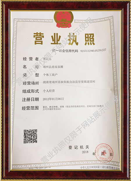 靖州杨梅树苗批发,杨梅果品采摘,靖州县忠实苗圃 靖州杨梅树苗批发,杨梅果品采摘,靖州县忠实苗圃
